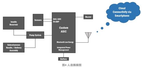 集成且不顯眼的糖尿病管理系統 信息系統集成服務的創新實踐